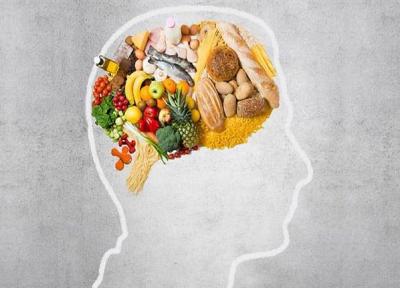 مواد غذایی برای تقویت حافظه از نظر طب اسلامی، سنتی و مدرن کدامند؟