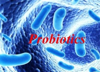 روش های افزایش ایمنی در برابر بیماری ها با استفاده از پروبیوتیک ها