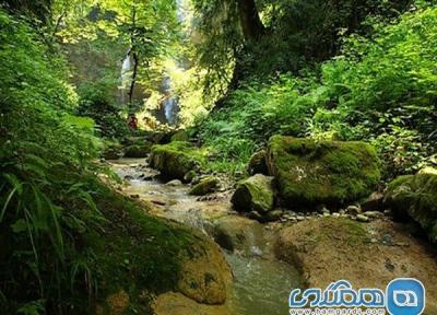 جنگل انجیلی و آبشار ولیلا؛ زیبایی هایی بی بدیل در بطن مازندران