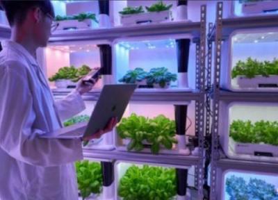 طراحی و ساخت ویلا در شمال: رشد باغ های گیاهی سرپوشیده هوشمند در هنگ کنگ