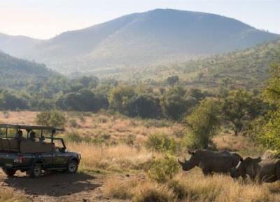 تور آفریقای جنوبی ارزان: پارک ملی پیلانسبرگ آفریقای جنوبی