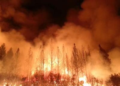 ادامه آتش سوزی های گسترده در کانادا درپی گرمای شدید هوا