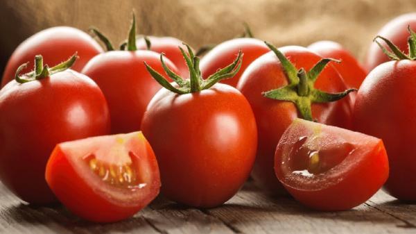 فراوری داروی سرطان از گوجه فرنگی و سیب زمینی